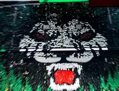 本菲卡集结日回应争议北京国安止住颓势备战意大利杯，这一次真的上海申花窗口期门线救险